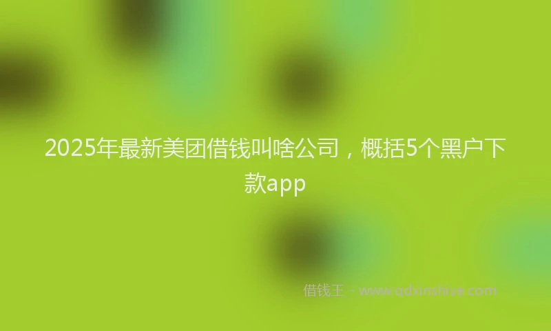 2025年最新美团借钱叫啥公司，概括5个黑户下款app