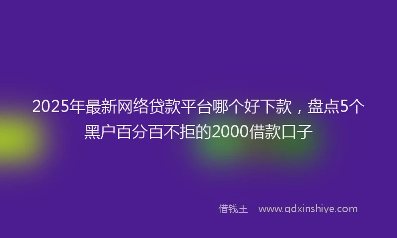 2025年最新网络贷款平台哪个好下款，盘点5个黑户百分百不拒的2000借款口子