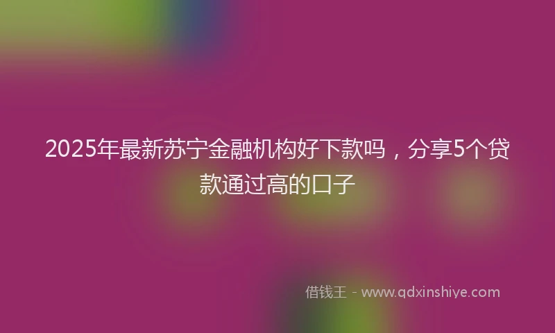 2025年最新苏宁金融机构好下款吗，分享5个贷款通过高的口子