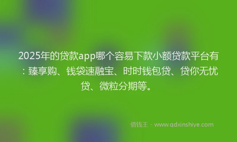 2025年的贷款app哪个容易下款小额贷款平台有：臻享购、钱袋速融宝、时时钱包贷、贷你无忧贷、微粒分期等。