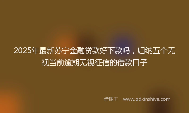 2025年最新苏宁金融贷款好下款吗，归纳五个无视当前逾期无视征信的借款口子