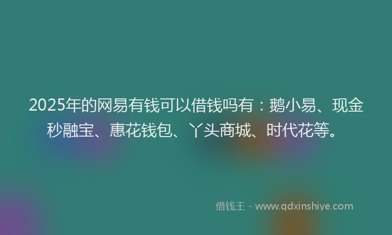 2025年的网易有钱可以借钱吗有：鹅小易、现金秒融宝、惠花钱包、丫头商城、时代花等。