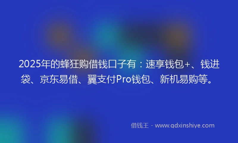 2025年的蜂狂购借钱口子有：速享钱包+、钱进袋、京东易借、翼支付Pro钱包、新机易购等。