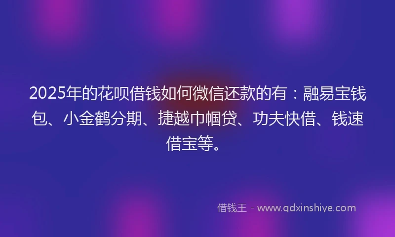 2025年的花呗借钱如何微信还款的有：融易宝钱包、小金鹤分期、捷越巾帼贷、功夫快借、钱速借宝等。