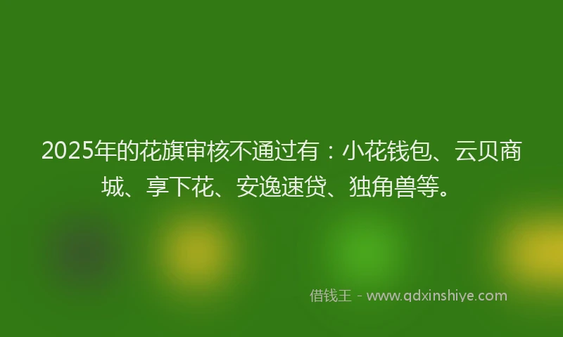 2025年的花旗审核不通过有：小花钱包、云贝商城、享下花、安逸速贷、独角兽等。