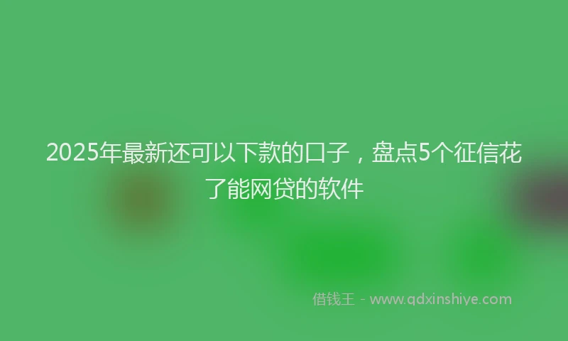 2025年最新还可以下款的口子，盘点5个征信花了能网贷的软件