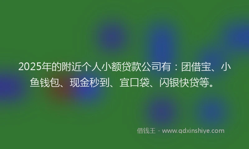 2025年的附近个人小额贷款公司有：团借宝、小鱼钱包、现金秒到、宜口袋、闪银快贷等。
