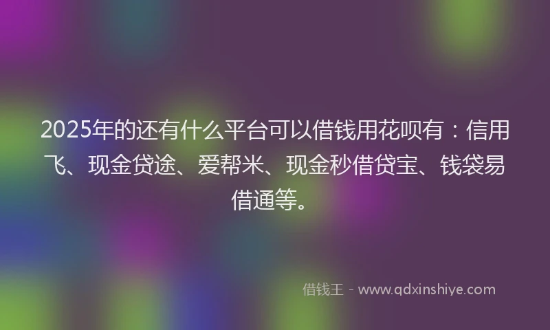2025年的还有什么平台可以借钱用花呗有：信用飞、现金贷途、爱帮米、现金秒借贷宝、钱袋易借通等。