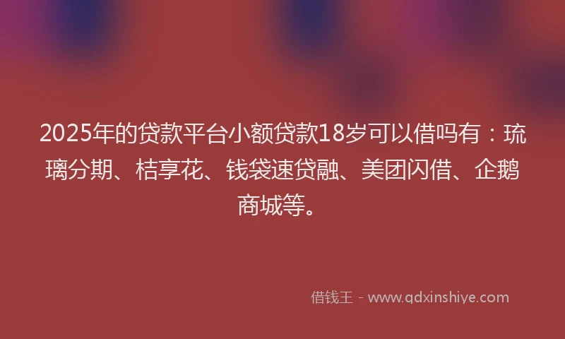 2025年的贷款平台小额贷款18岁可以借吗有：琉璃分期、桔享花、钱袋速贷融、美团闪借、企鹅商城等。