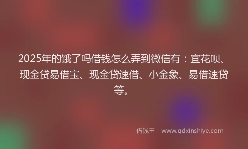 2025年的饿了吗借钱怎么弄到微信有：宜花呗、现金贷易借宝、现金贷速借、小金象、易借速贷等。