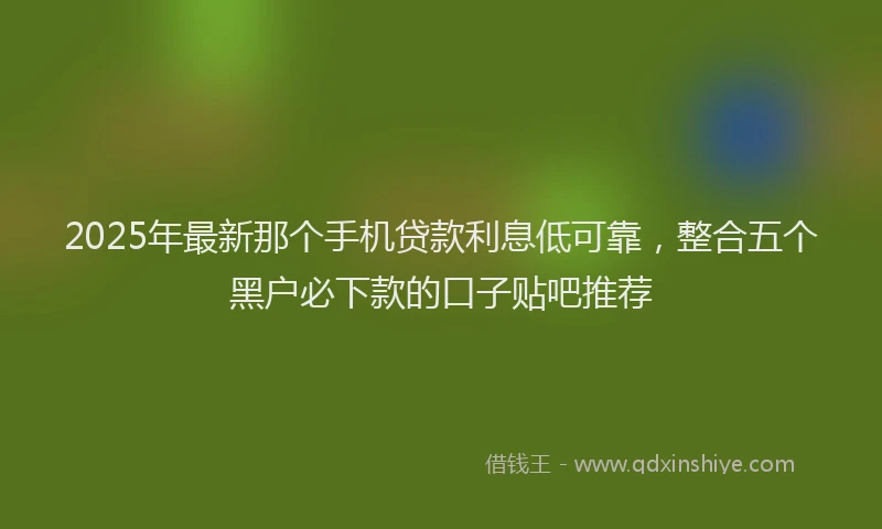 2025年最新那个手机贷款利息低可靠，整合五个黑户必下款的口子贴吧推荐