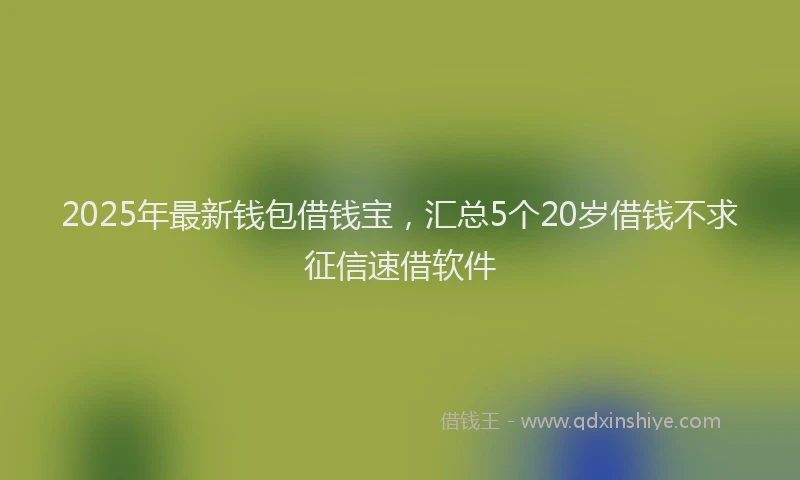 2025年最新钱包借钱宝，汇总5个20岁借钱不求征信速借软件