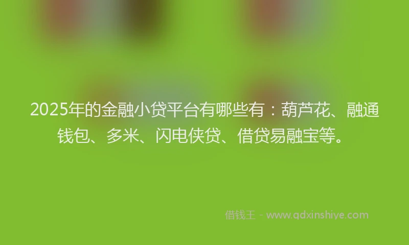 2025年的金融小贷平台有哪些有：葫芦花、融通钱包、多米、闪电侠贷、借贷易融宝等。