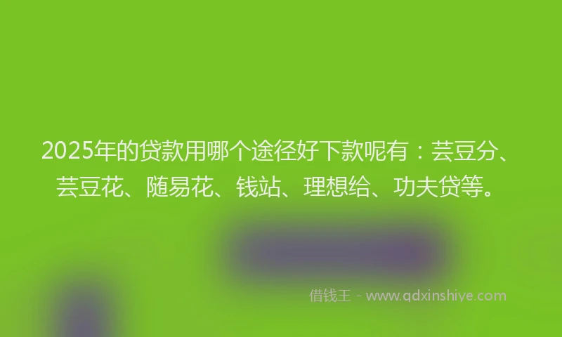 2025年的贷款用哪个途径好下款呢有：芸豆分、芸豆花、随易花、钱站、理想给、功夫贷等。