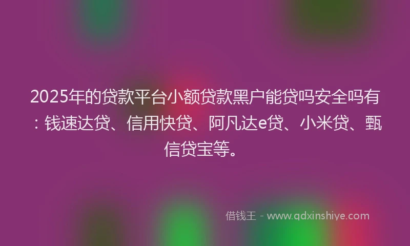 2025年的贷款平台小额贷款黑户能贷吗安全吗有：钱速达贷、信用快贷、阿凡达e贷、小米贷、甄信贷宝等。