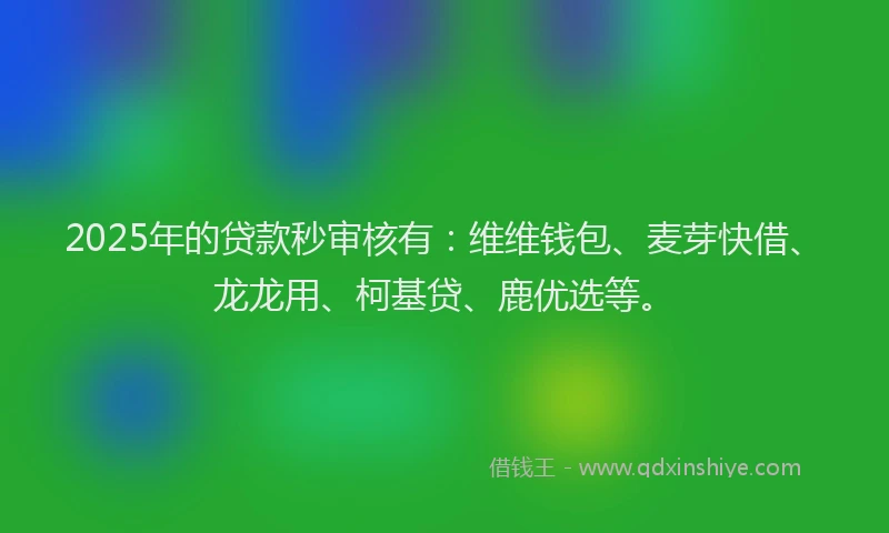 2025年的贷款秒审核有：维维钱包、麦芽快借、龙龙用、柯基贷、鹿优选等。