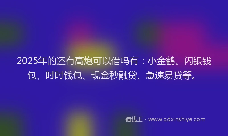 2025年的还有高炮可以借吗有：小金鹤、闪银钱包、时时钱包、现金秒融贷、急速易贷等。
