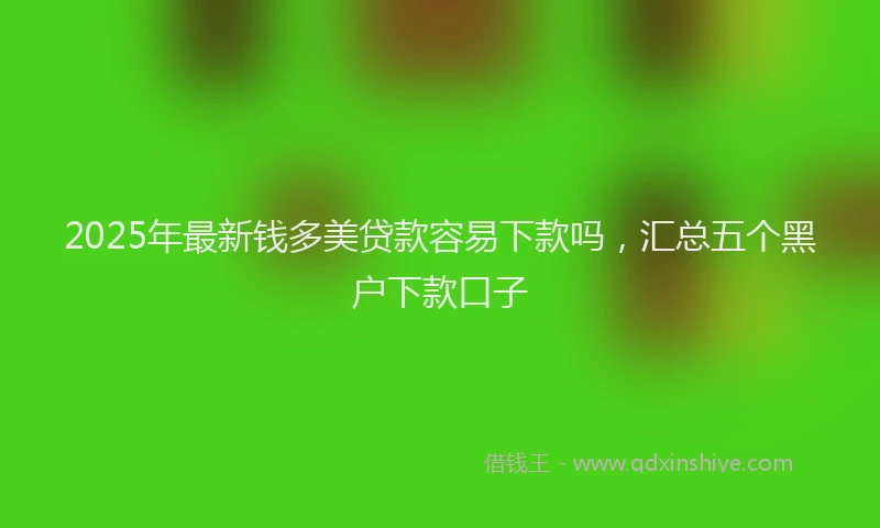 2025年最新钱多美贷款容易下款吗，汇总五个黑户下款口子
