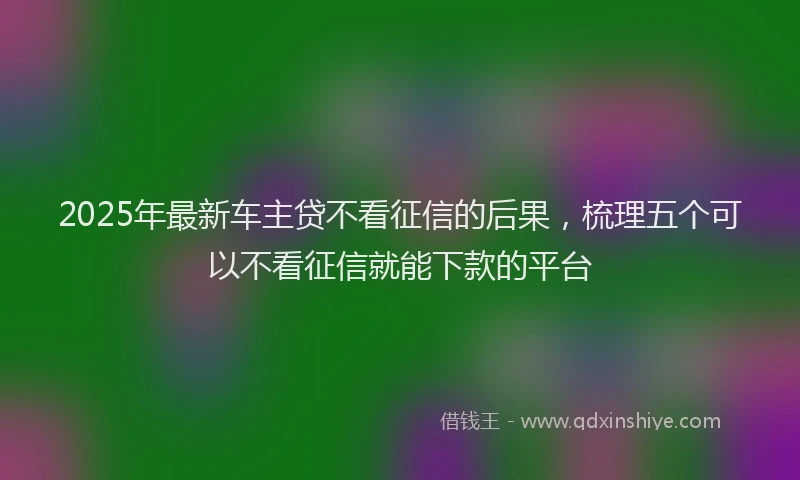 2025年最新车主贷不看征信的后果，梳理五个可以不看征信就能下款的平台