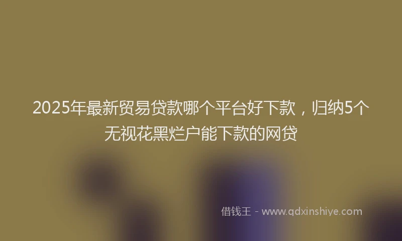 2025年最新贸易贷款哪个平台好下款，归纳5个无视花黑烂户能下款的网贷