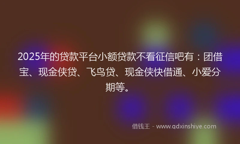 2025年的贷款平台小额贷款不看征信吧有：团借宝、现金侠贷、飞鸟贷、现金侠快借通、小爱分期等。