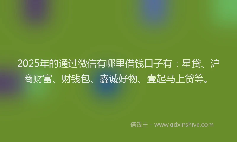 2025年的通过微信有哪里借钱口子有：星贷、沪商财富、财钱包、鑫诚好物、壹起马上贷等。
