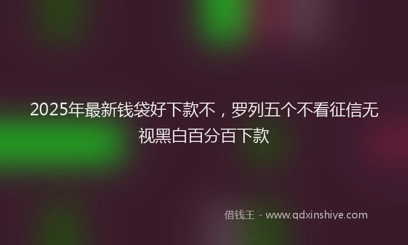 2025年最新钱袋好下款不，罗列五个不看征信无视黑白百分百下款