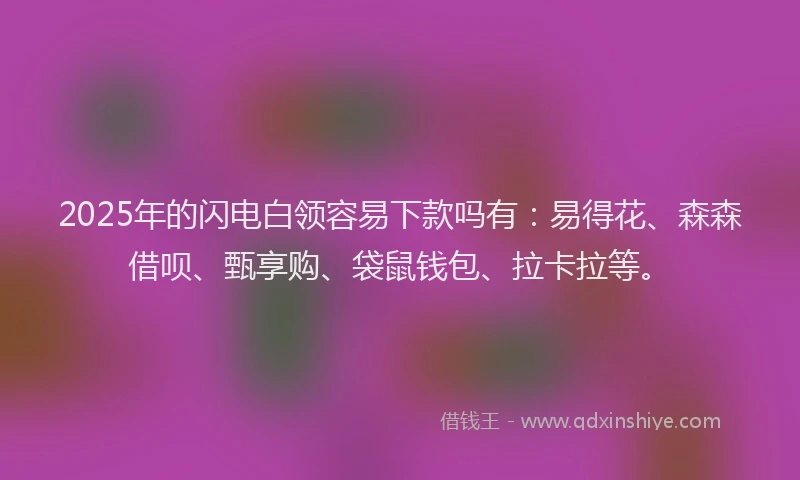2025年的闪电白领容易下款吗有:易得花、森森借呗、甄享购、袋鼠钱包、拉卡拉等。