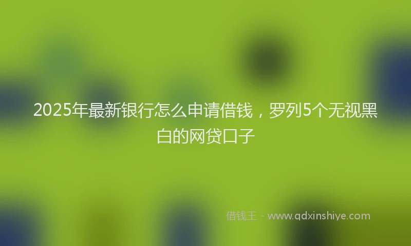 2025年最新银行怎么申请借钱，罗列5个无视黑白的网贷口子