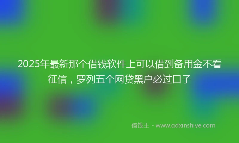 2025年最新那个借钱软件上可以借到备用金不看征信，罗列五个网贷黑户必过口子