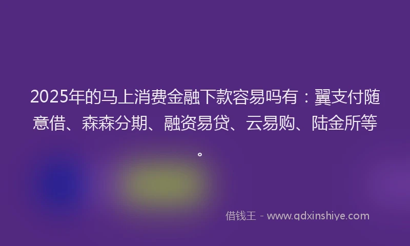 2025年的马上消费金融下款容易吗有：翼支付随意借、森森分期、融资易贷、云易购、陆金所等。