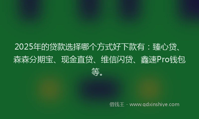 2025年的贷款选择哪个方式好下款有：臻心贷、森森分期宝、现金直贷、维信闪贷、鑫速Pro钱包等。