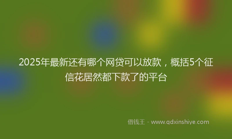 2025年最新还有哪个网贷可以放款，概括5个征信花居然都下款了的平台