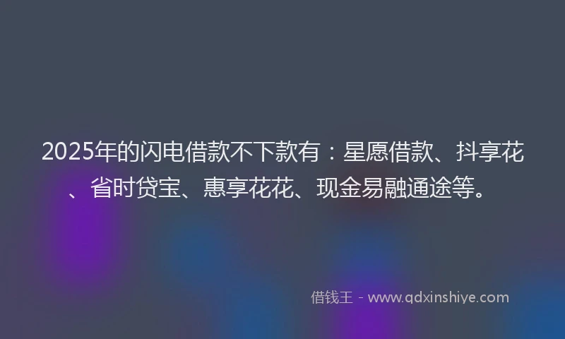 2025年的闪电借款不下款有：星愿借款、抖享花、省时贷宝、惠享花花、现金易融通途等。