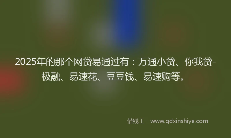 2025年的那个网贷易通过有：万通小贷、你我贷-极融、易速花、豆豆钱、易速购等。