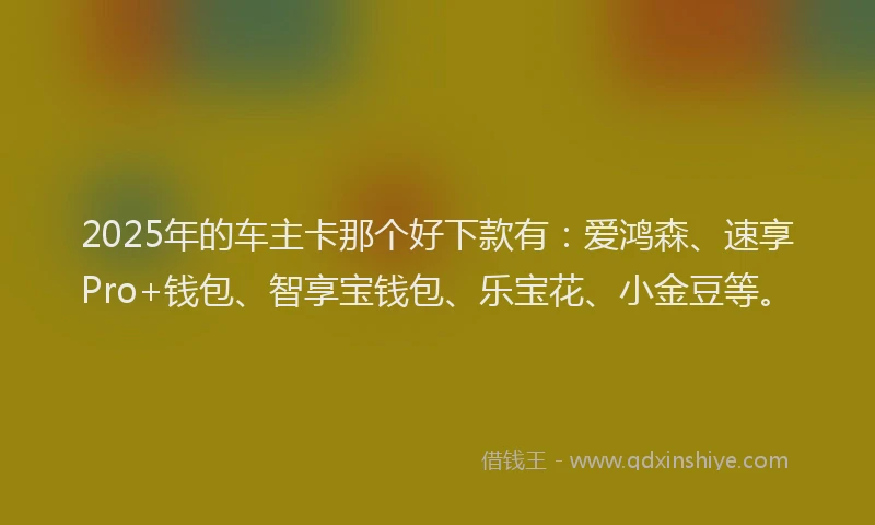 2025年的车主卡那个好下款有：爱鸿森、速享Pro+钱包、智享宝钱包、乐宝花、小金豆等。