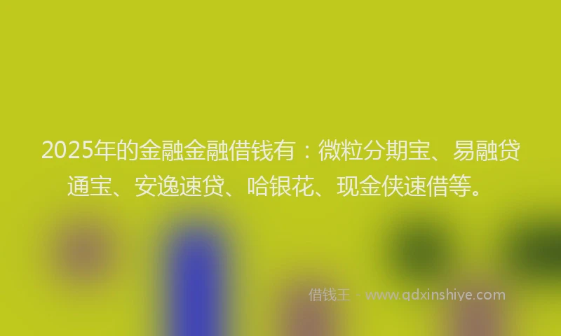2025年的金融金融借钱有：微粒分期宝、易融贷通宝、安逸速贷、哈银花、现金侠速借等。