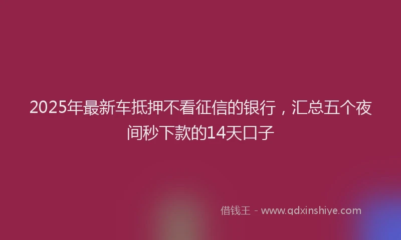 2025年最新车抵押不看征信的银行，汇总五个夜间秒下款的14天口子