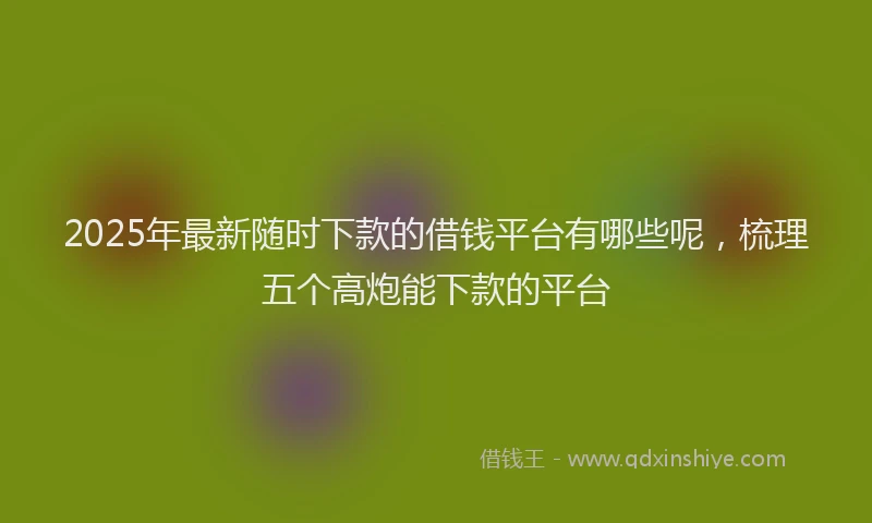 2025年最新随时下款的借钱平台有哪些呢，梳理五个高炮能下款的平台
