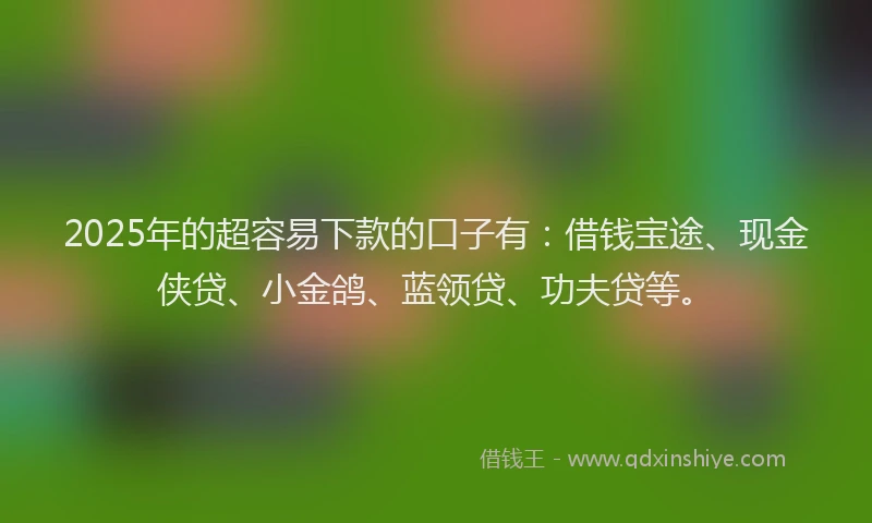 2025年的超容易下款的口子有：借钱宝途、现金侠贷、小金鸽、蓝领贷、功夫贷等。