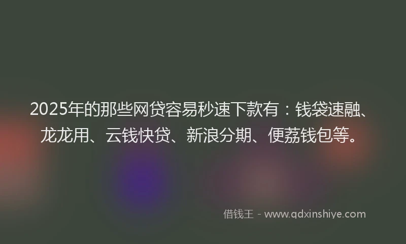 2025年的那些网贷容易秒速下款有：钱袋速融、龙龙用、云钱快贷、新浪分期、便荔钱包等。