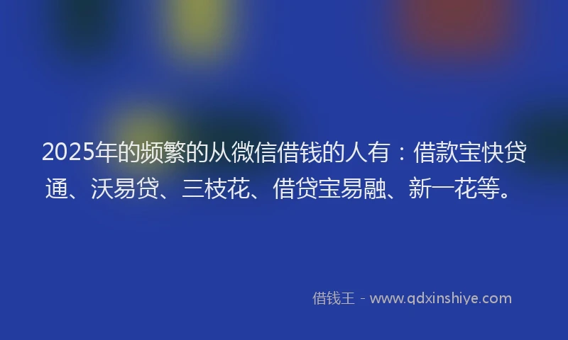 2025年的频繁的从微信借钱的人有：借款宝快贷通、沃易贷、三枝花、借贷宝易融、新一花等。