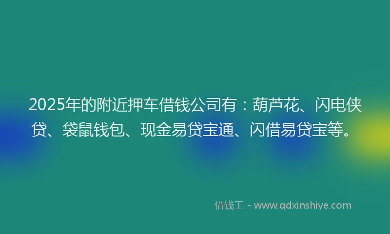 2025年的附近押车借钱公司有：葫芦花、闪电侠贷、袋鼠钱包、现金易贷宝通、闪借易贷宝等。