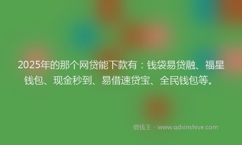2025年的那个网贷能下款有：钱袋易贷融、福星钱包、现金秒到、易借速贷宝、全民钱包等。
