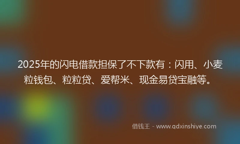 2025年的闪电借款担保了不下款有：闪用、小麦粒钱包、粒粒贷、爱帮米、现金易贷宝融等。