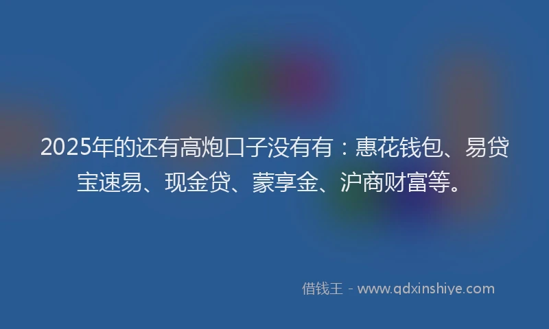 2025年的还有高炮口子没有有：惠花钱包、易贷宝速易、现金贷、蒙享金、沪商财富等。