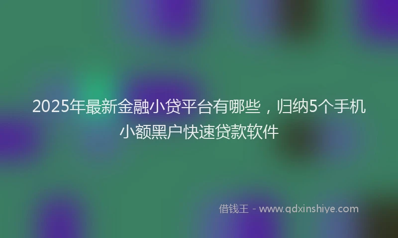 2025年最新金融小贷平台有哪些，归纳5个手机小额黑户快速贷款软件