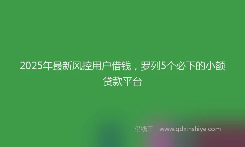 2025年最新风控用户借钱，罗列5个必下的小额贷款平台