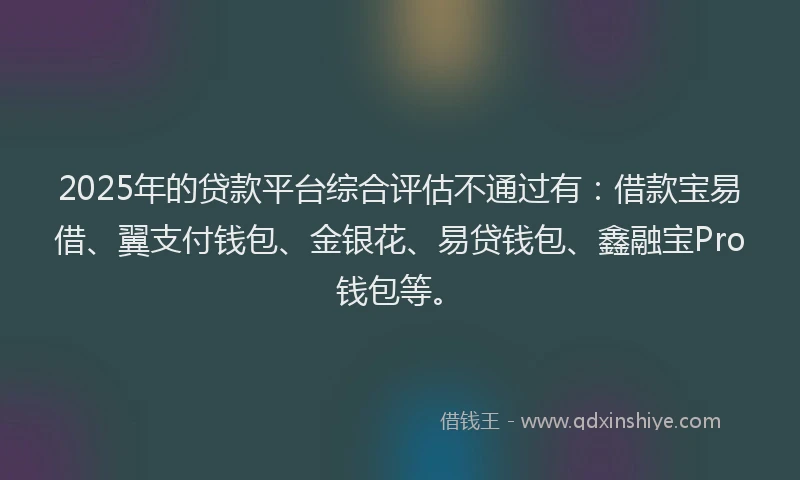 2025年的贷款平台综合评估不通过有：借款宝易借、翼支付钱包、金银花、易贷钱包、鑫融宝Pro钱包等。