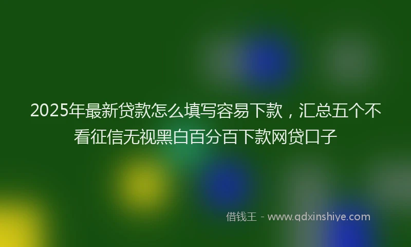 2025年最新贷款怎么填写容易下款，汇总五个不看征信无视黑白百分百下款网贷口子